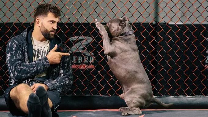 Andrei Arlovski and his pitbull