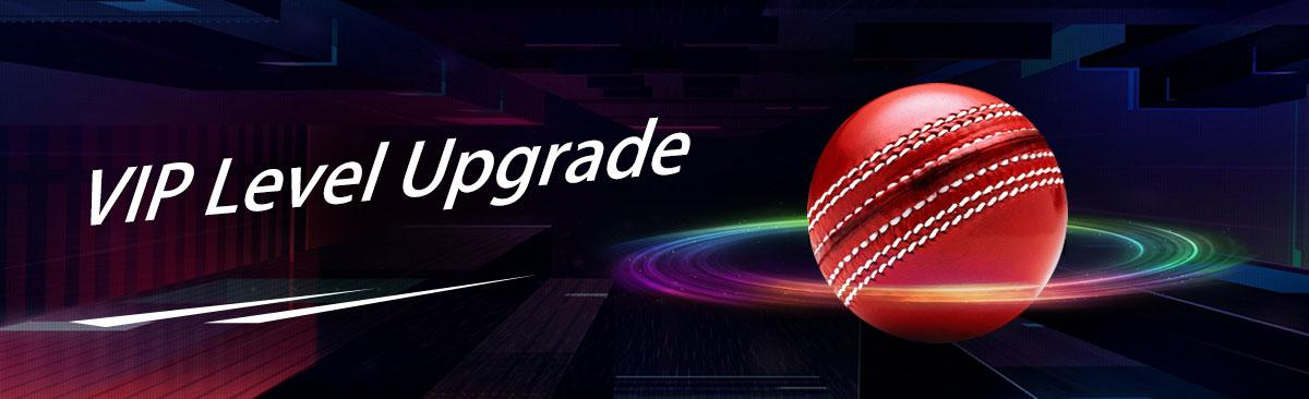 BeCric VIP Upgrade Bonus