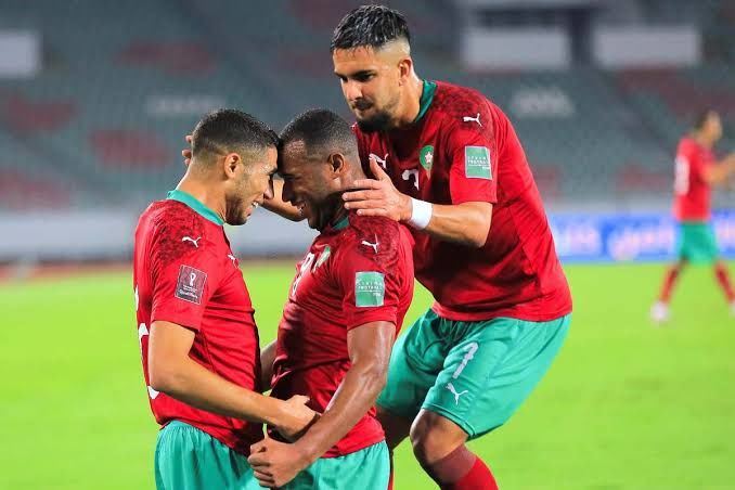 Morocco Atlas lions