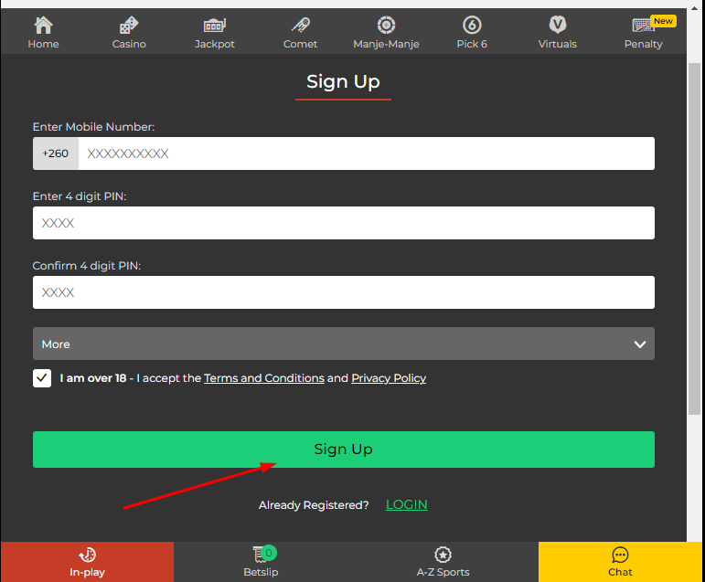 Picture showing how to submit your Betlion Zambia login details