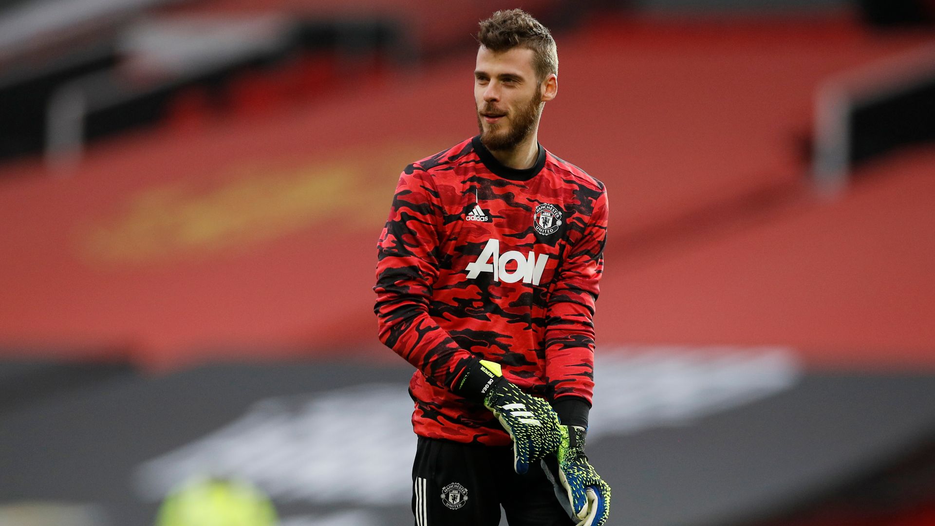 David De Gea David De Gea