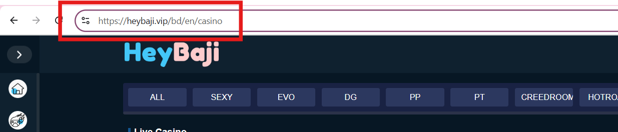 HeyBaji’s official website safety