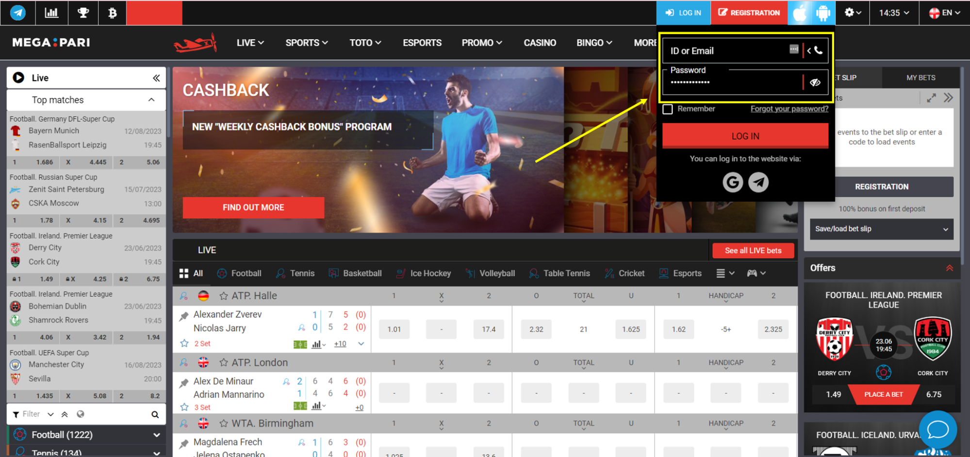 Megapari LogIn Megapari SignIn