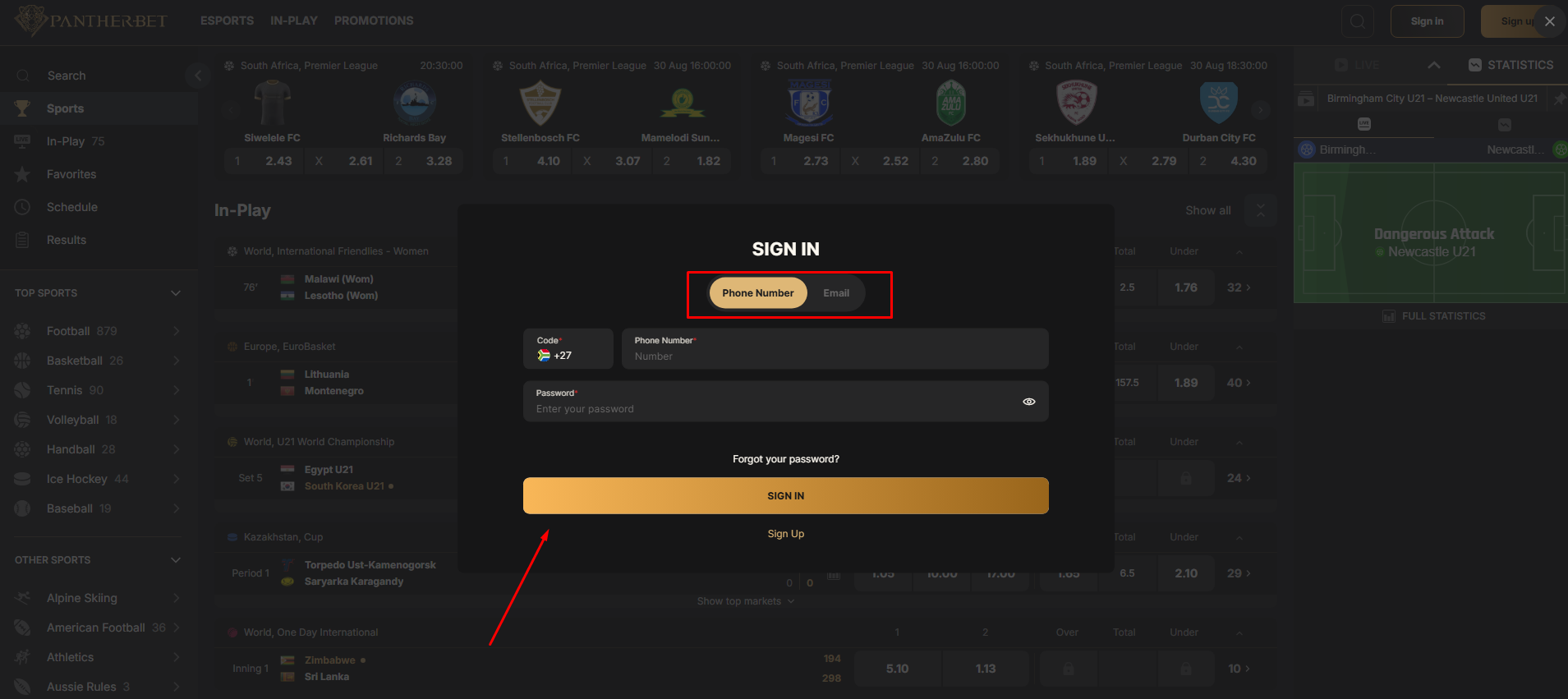 Panther Bet Login Registration Online