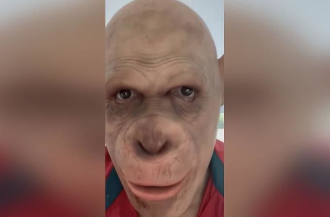 A Statement from the Monkey