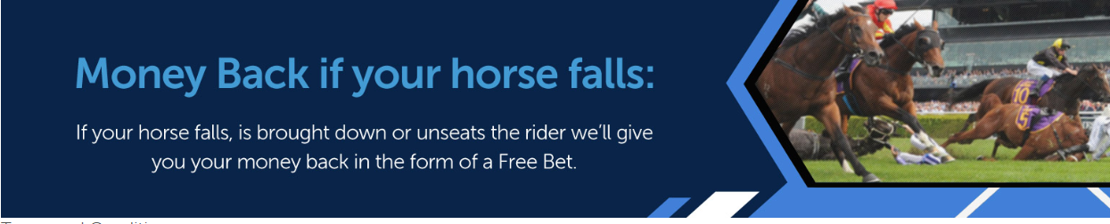 SunBet money back if your horse falls bonus image