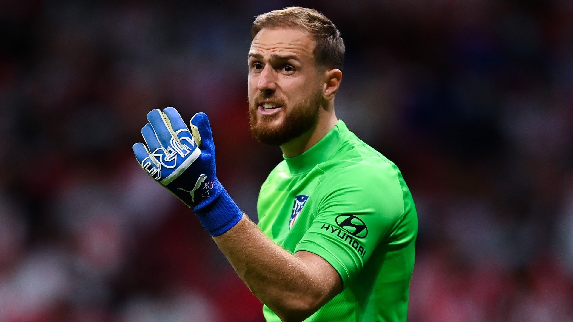 Jan Oblak Jan Oblak