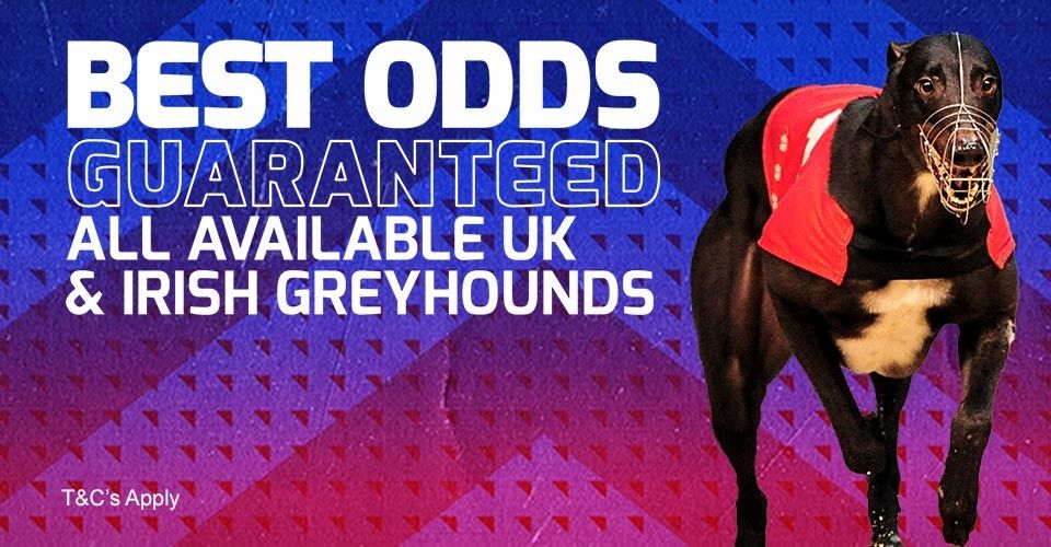 Betfred Best Odds Greyhounds