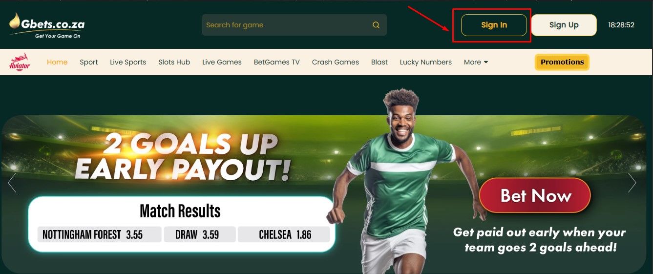 Click the Sign in Button