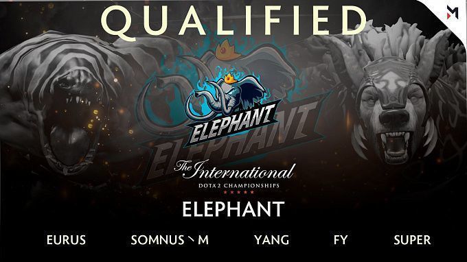 Elephant (qualification in China)
