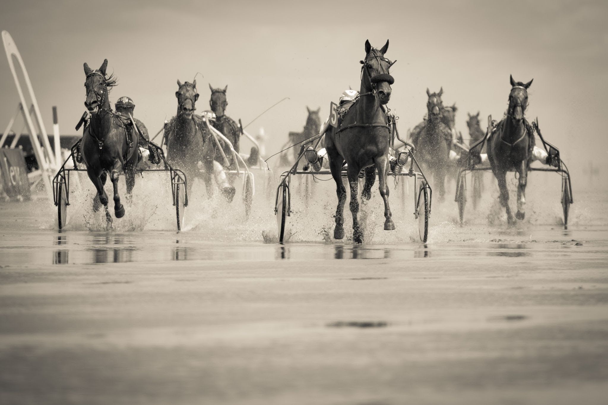 image of horses speeding on the track