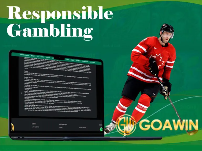 Goawin Security and Fair Play