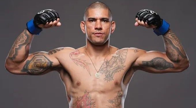 Alex Pereira Alex Pereira