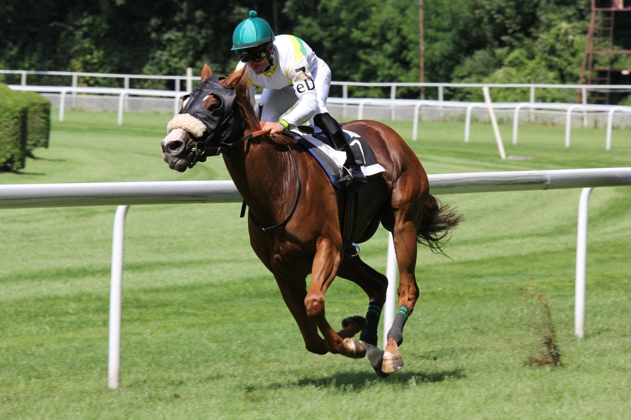 Image of jockey riding a horse on the track