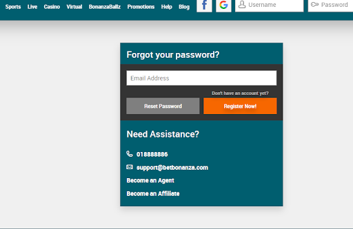 Image of BetBonanza displaying forgot password form