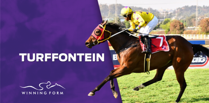 The Hollywoodbets Horse Racing Bets Banner