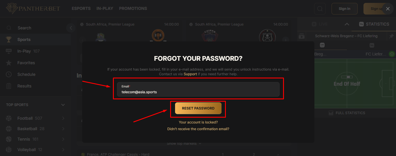 Log in problems on Pantherbet