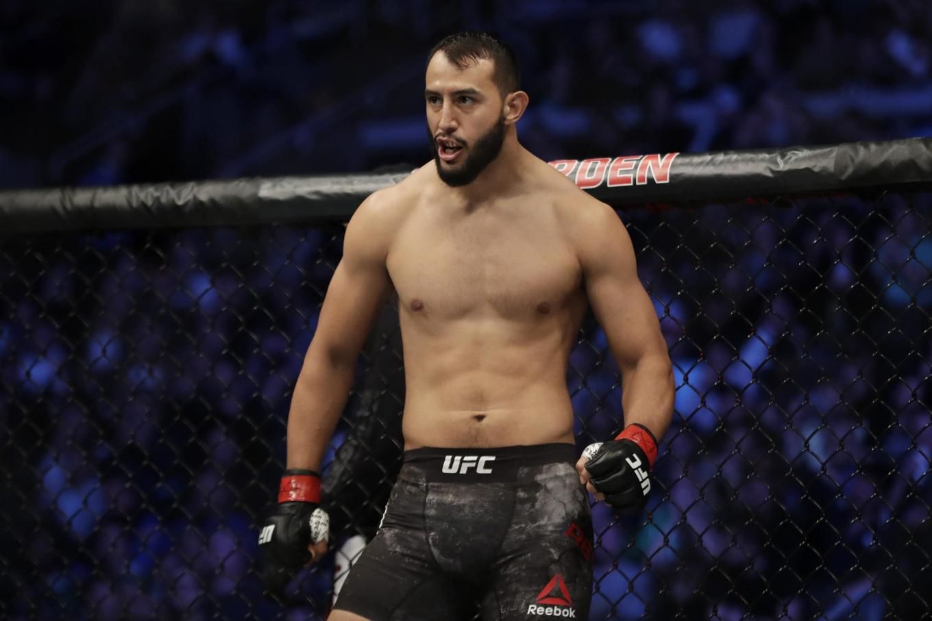 Dominick Reyes Dominick Reyes