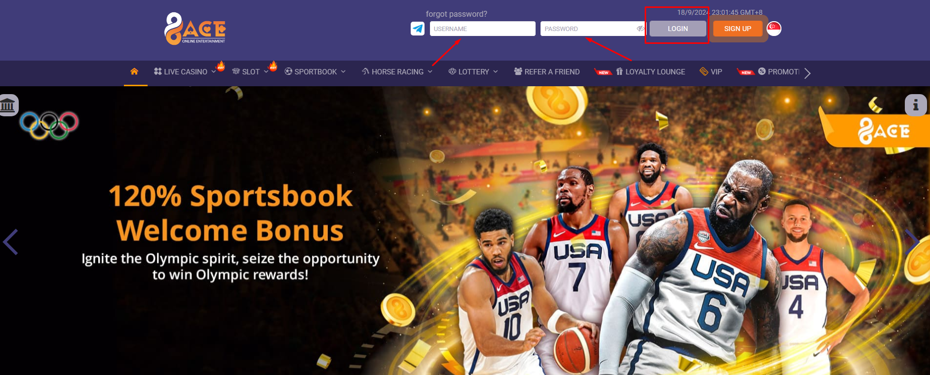 96Ace Sign In 96Ace Asia Login Process