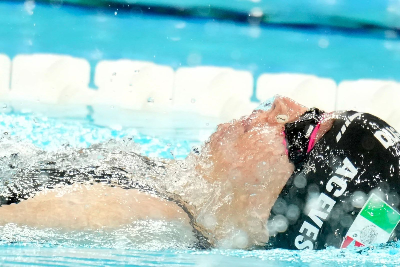 Haidee Aceves. Haidee Aceves.