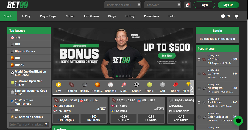 Dream99 A New Era in Online Betting