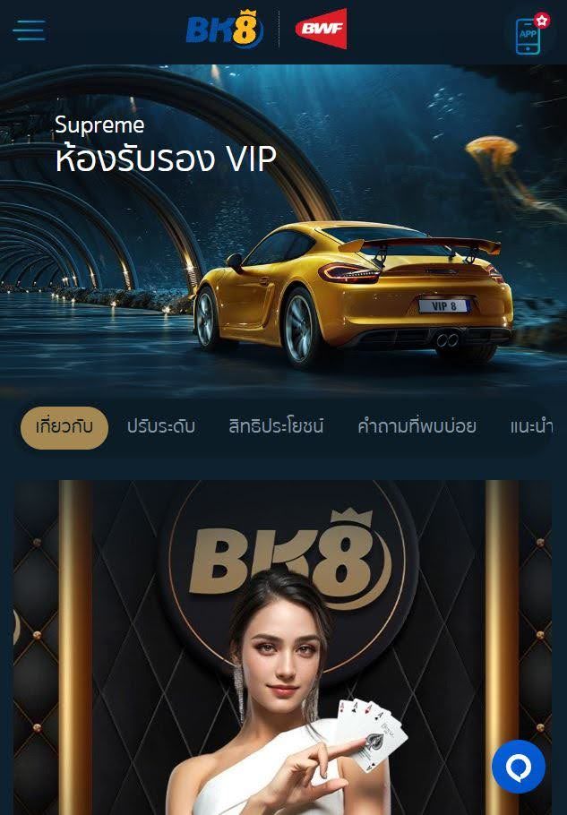 ศูนย์ลูกค้า VIP