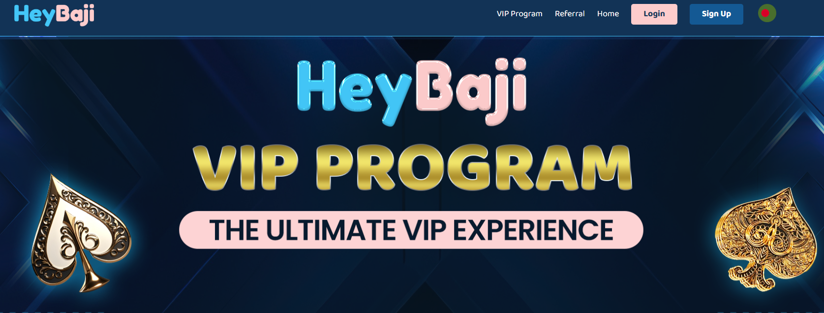 HeyBaji VIP Program page