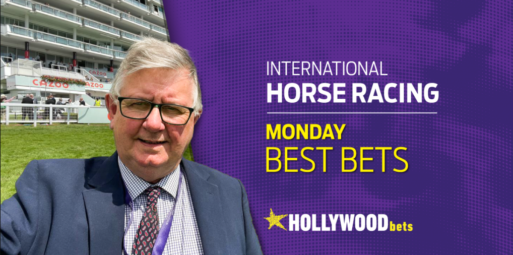 The Hollywoodbets Horse Racing Bets Banner