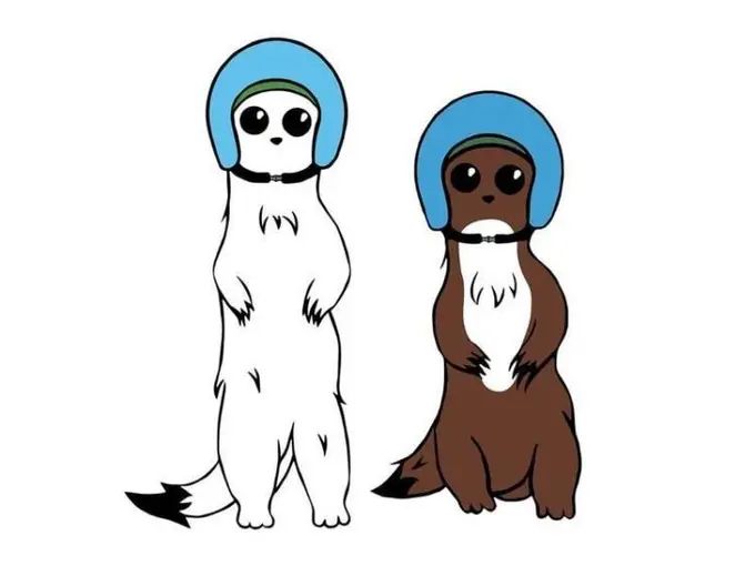 Two stoats selected as mascots for 2026 Olympics in Milan and Cortina d