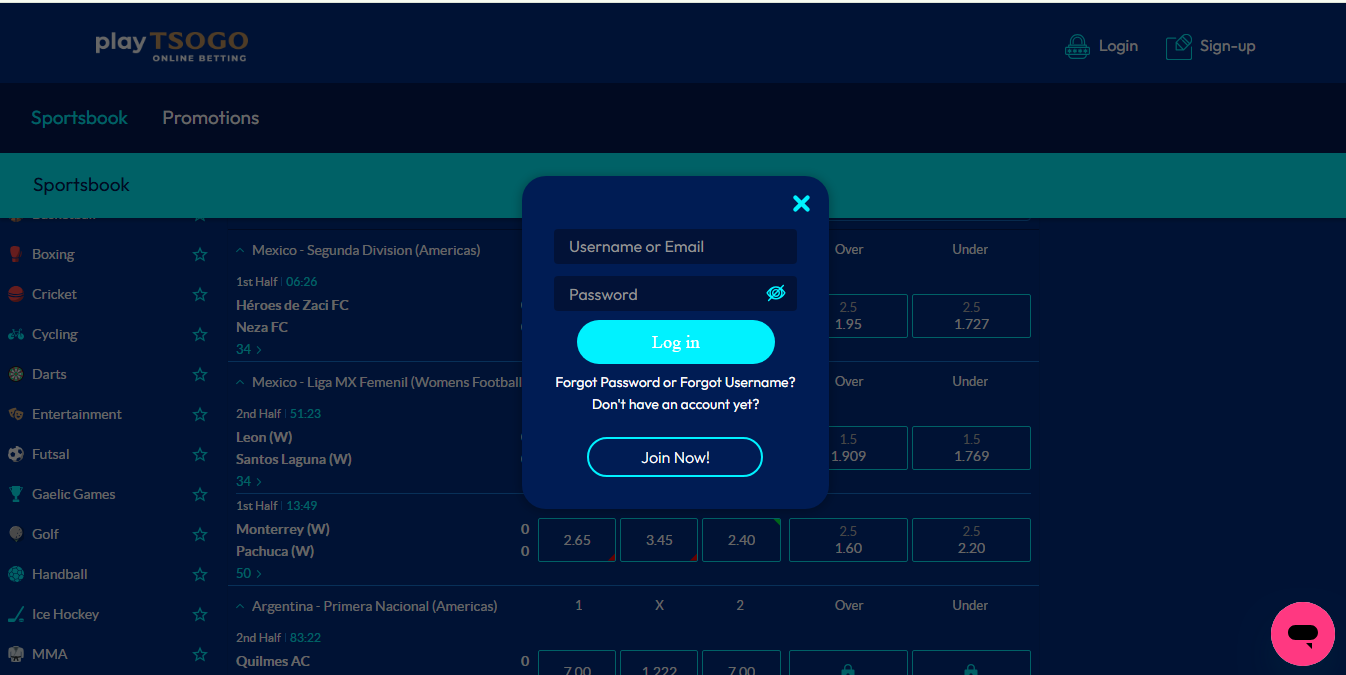 Playtsogo Casino Login Process Banner